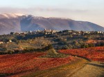 montefalco-panorama