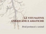 viti-native-libro