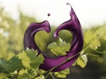 2020vinitaly