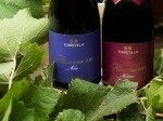 torrevilla_la-genisia-pinot-nero-riserva