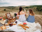 picnicchic_