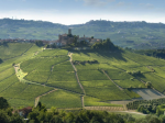 barolo