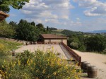 cantina fattoria del colle