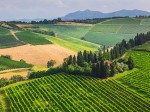 chianti-colline