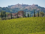 vino-nobile-di-montepulciano-6