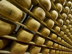 parmigiano-reggiano_forme