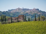 vino-nobile-di-montepulciano-equalitas