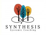 synthetis Leadership sistemica