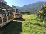 wine-train-strada-vino-trentino